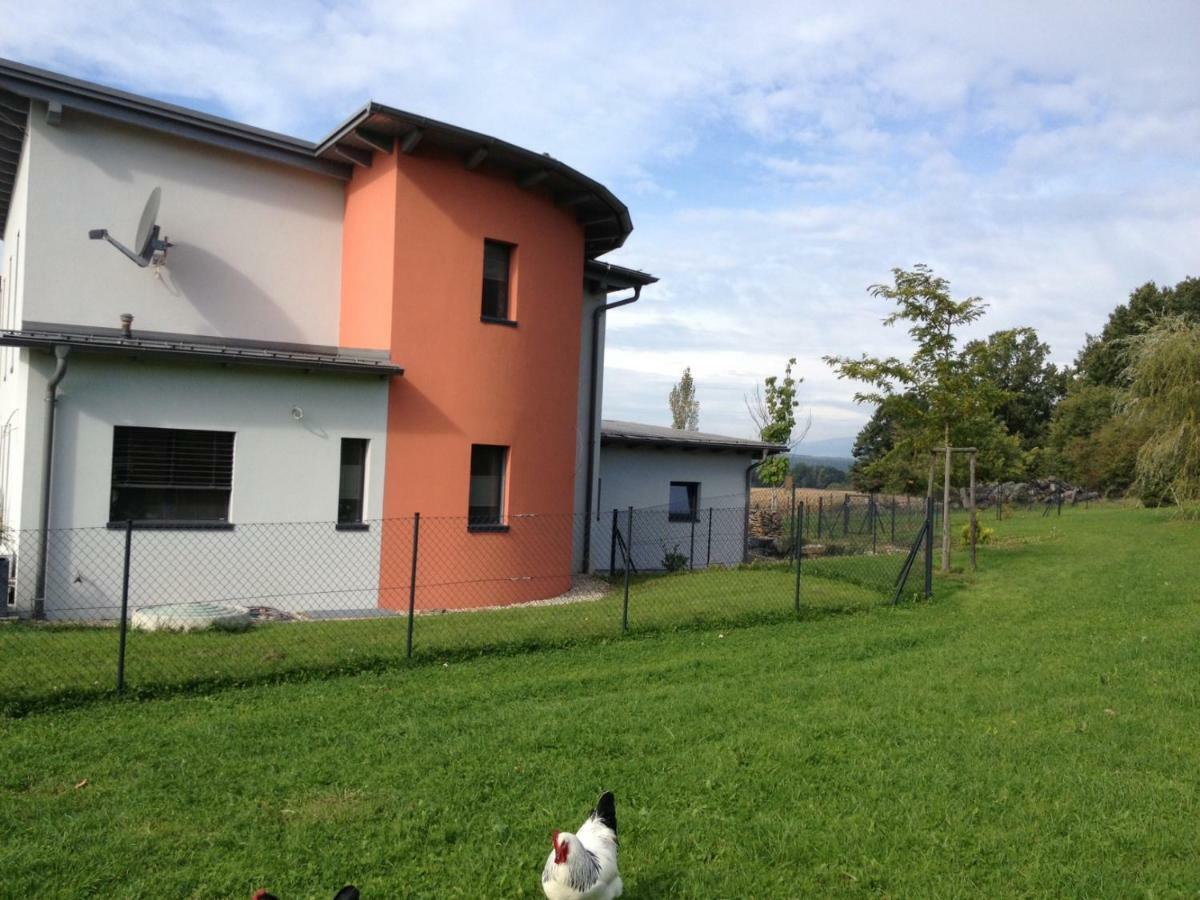 Haus Luna - Privatzimmer Im Sonnigen Suedburgenland Hackerberg المظهر الخارجي الصورة